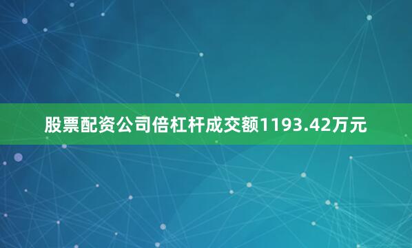 股票配资公司倍杠杆成交额1193.42万元